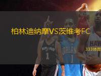 柏林迪納摩VS茨維考FC
