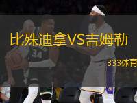 比殊迪拿VS吉姆勒