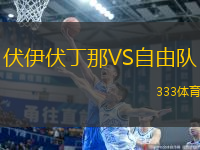 伏伊伏丁那VS自由隊