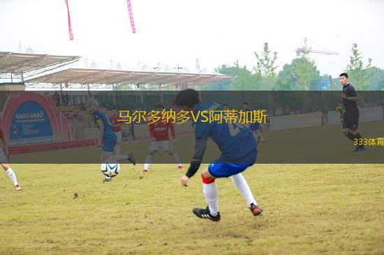 馬爾多納多VS阿蒂加斯