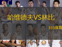 哈維德夫VS林比