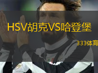 HSV胡克VS哈登堡