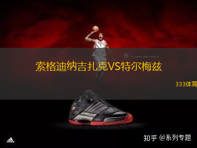 索格迪納吉扎克VS特爾梅茲
