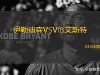 伊勒迪森VSVfB艾斯特