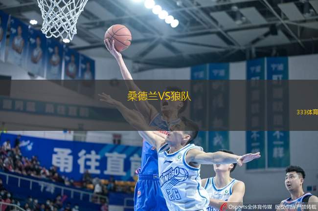 桑德蘭VS狼隊(duì)