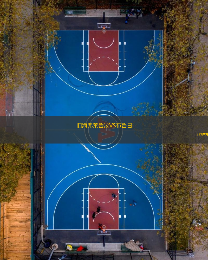 舊海弗萊魯汶VS布魯日