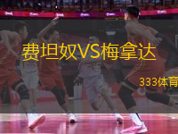 費(fèi)坦奴VS梅拿達(dá)