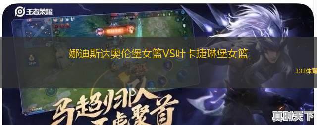 內(nèi)西公牛VS山丘黃蜂