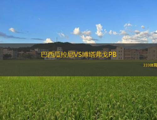 桑雷美森VS德爾特霍納