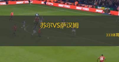 諾夫克特VS布琳獅子