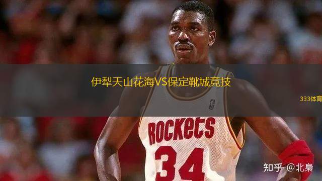 梅勒爾貝克VS尼諾維