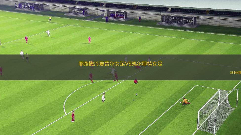埃塞電力FCVS阿瓦沙城