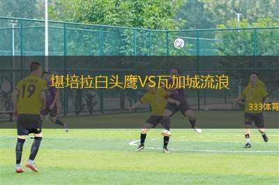 加德科特FCVS加德共衛(wèi)隊(duì)