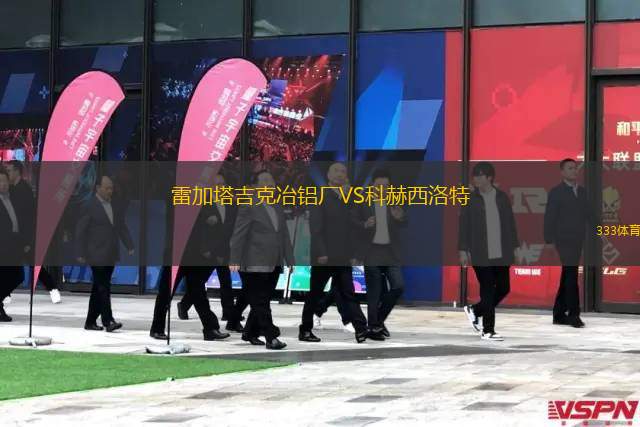 福瑞迪VSFK卡盧加