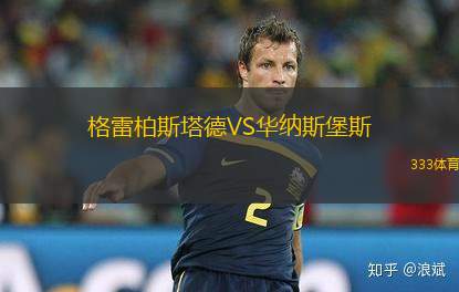 薩弦瑟迪爾VS基希訥烏野牛