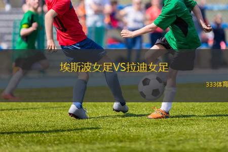 櫪木SCVS福岡黃蜂