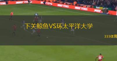 普拉維VS琴斯托霍瓦火花