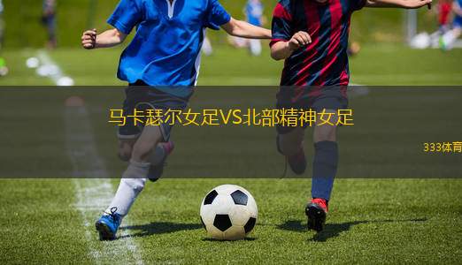 利雅得新月VS塞哈特海灣