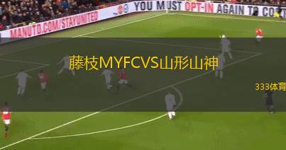 維堡VS林比
