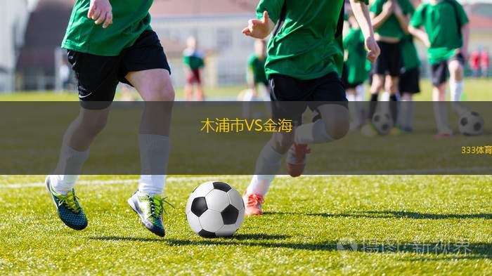 德累斯頓迪納摩VS桑德豪森