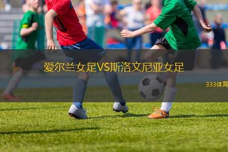 洪卡VS瓦亞科斯基