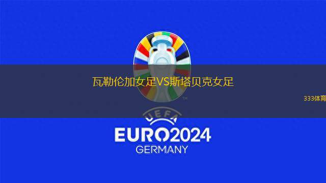 胡塞因VS阿喀巴