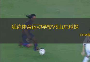 墨爾本市NPLVS布琳獅子