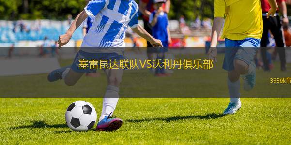 斯庫皮VS華達
