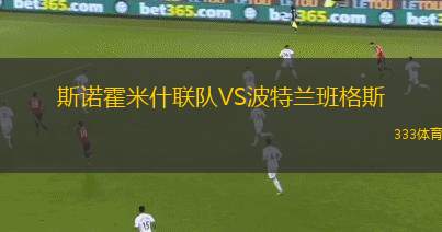 本克斯拓城獅隊(duì)VS哈柯亞東悉尼市