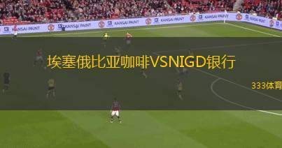 班貝格VSDJK維勒茲