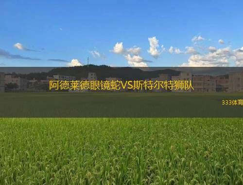 德里城VS圣帕特里克競(jìng)技
