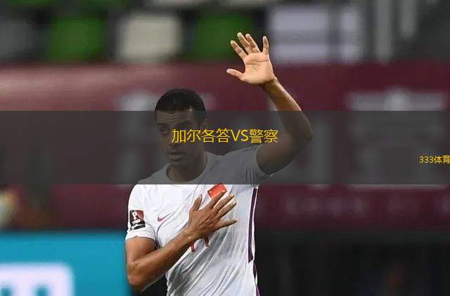 弗爾戈FCVSHFX流浪者