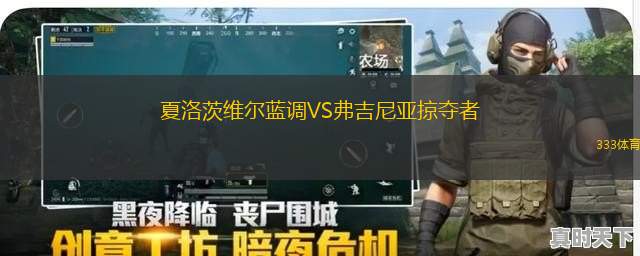 博比尼VS弗勒里梅洛吉斯