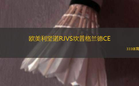 昂納西VS格勒諾布爾