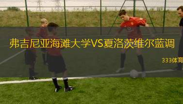 盧甘斯克索爾亞青年隊VS頓涅茨克礦工青年隊