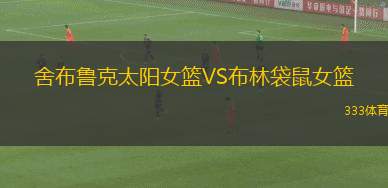 首爾SK騎士VS昌原LG獵隼