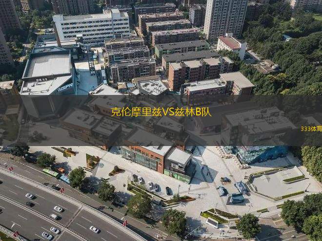 比林古馬VS瓦爾布洛克迪克