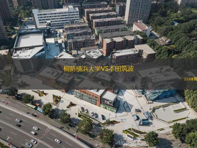 武漢三鎮(zhèn)B隊(duì)VS贛州瑞獅