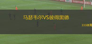 尼斯比VS布隆索伊
