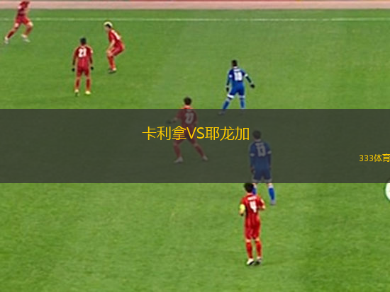 新芝加哥后備隊(duì)VS貝爾格拉諾防衛(wèi)后備隊(duì)