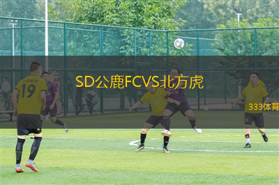 巴格達(dá)警察VS迪亞拉