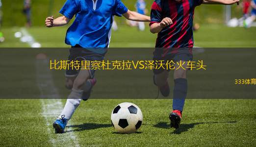 BW林茨VS薩爾茨堡紅牛