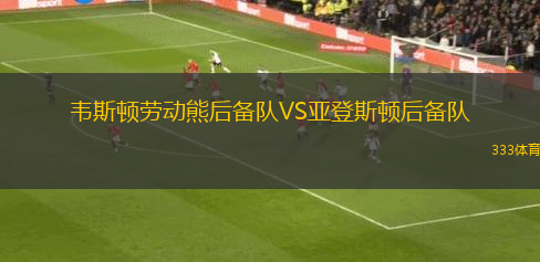 亞曼亞聯(lián)合VS妙瓦底