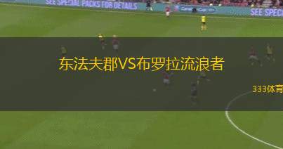 霍尼赫爾斯女足VS布拉格女足
