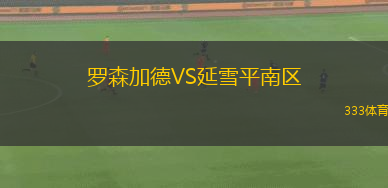 肖特美因茨VS伊達(dá)爾奧伯施泰恩