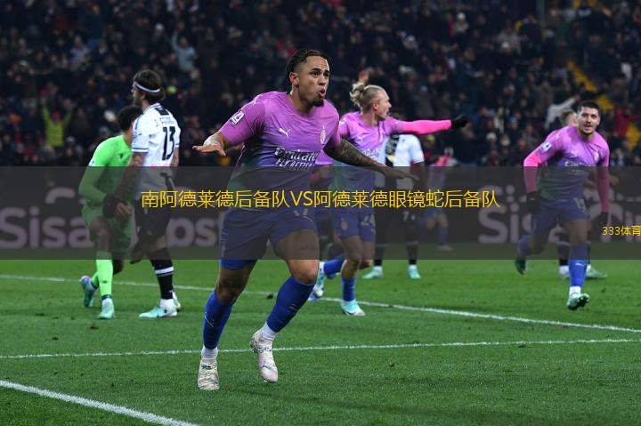 南阿德萊德后備隊(duì)VS阿德萊德眼鏡蛇后備隊(duì)