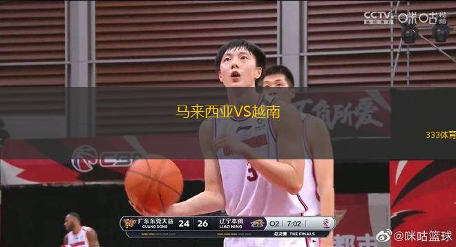 馬來(lái)西亞VS越南