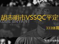 胡志明市VSSQC平定
