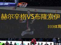 赫爾辛格VS布隆索伊