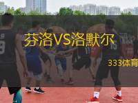 芬洛VS洛默爾